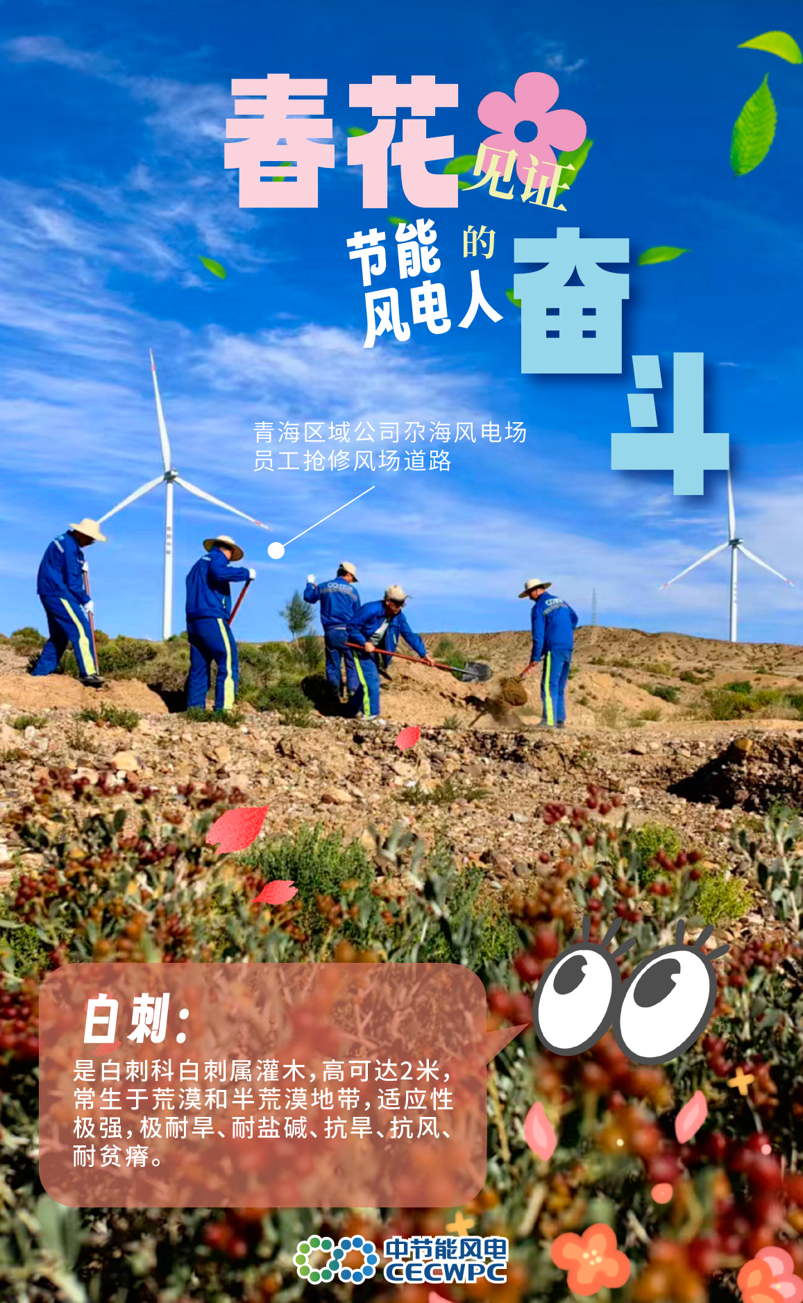 2406181c303a46fb8492bed636870d0a