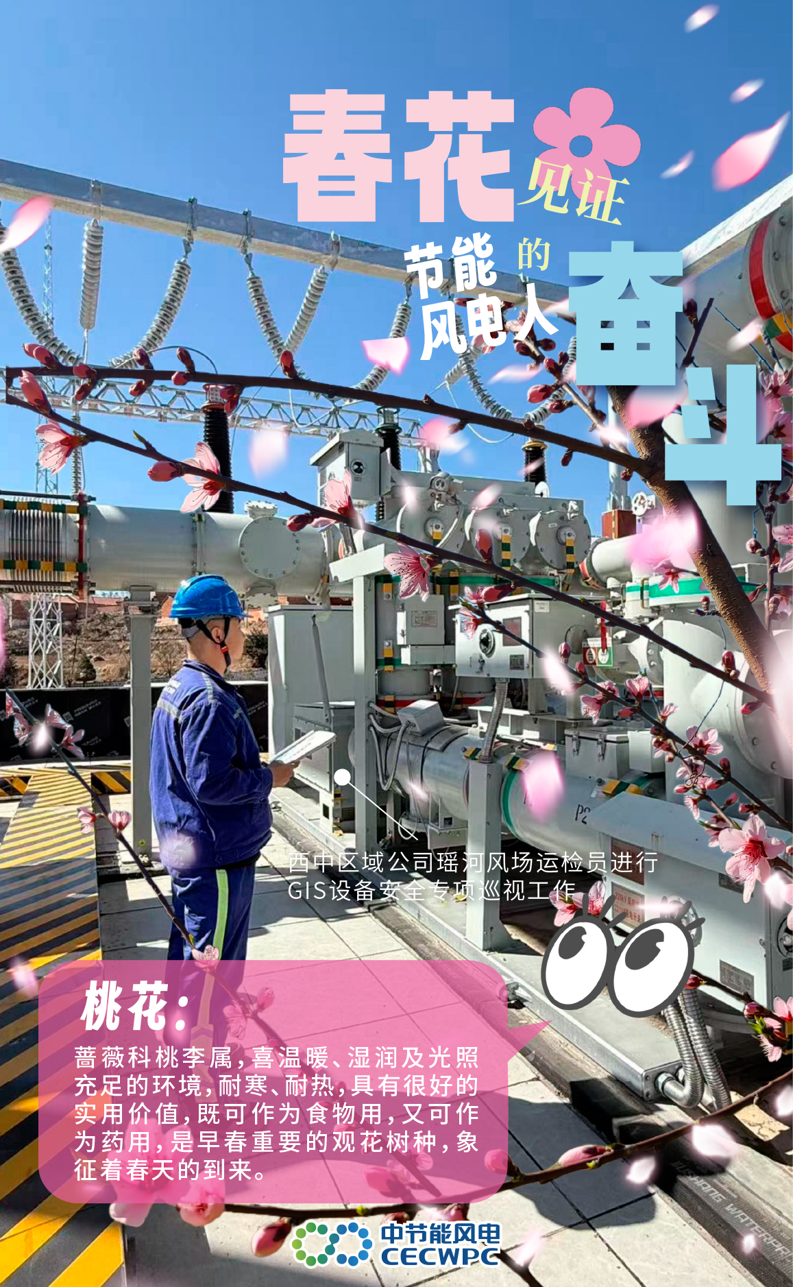 f55a6a638f8b432c899c2062c29e54f4