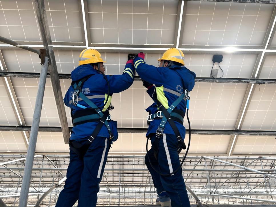 恒峰g22 - 官网入口 -- 每天有惊喜