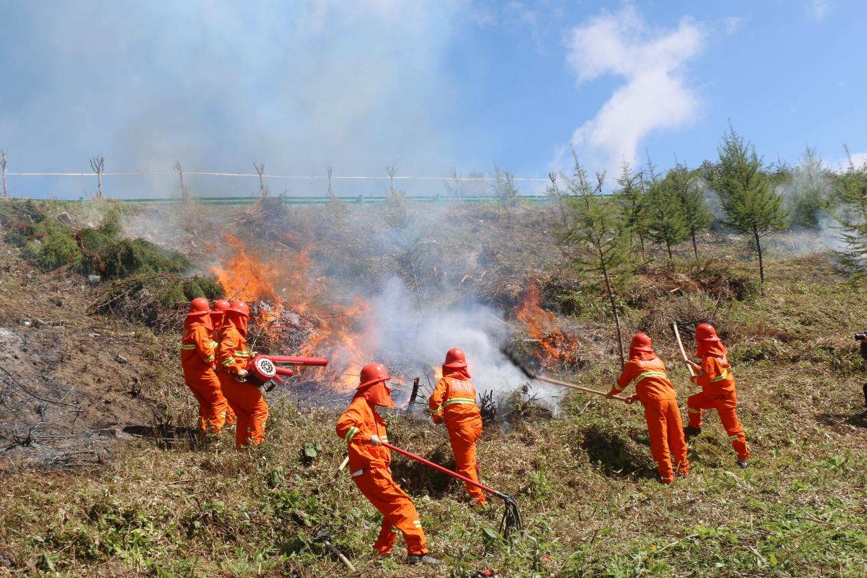 ���g22 - ������� -- ÿ���о�ϲ