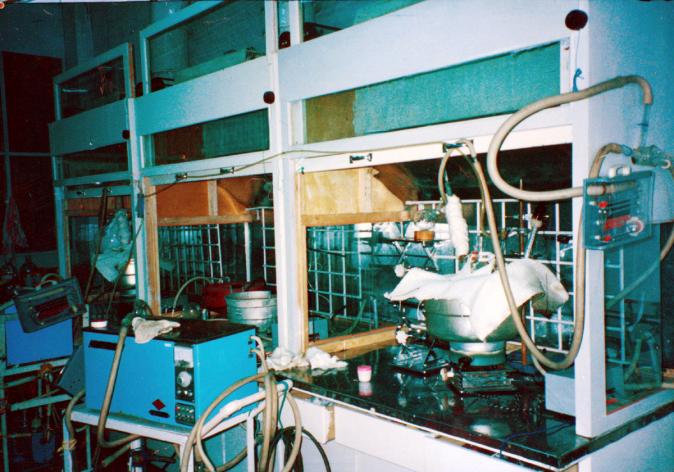 ���g22 - ������� -- ÿ���о�ϲ