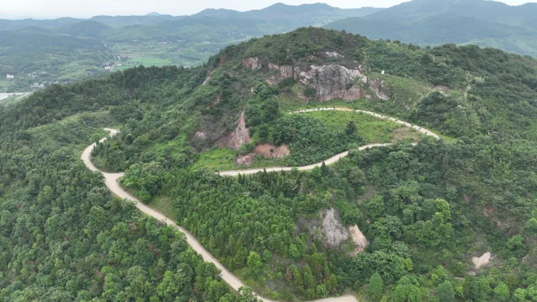 ���g22 - ������� -- ÿ���о�ϲ