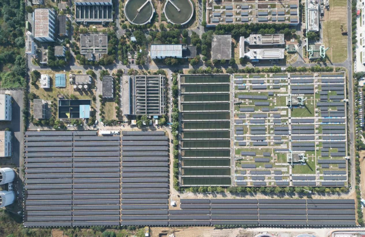 9151144c5af349fb92703862eaab1940